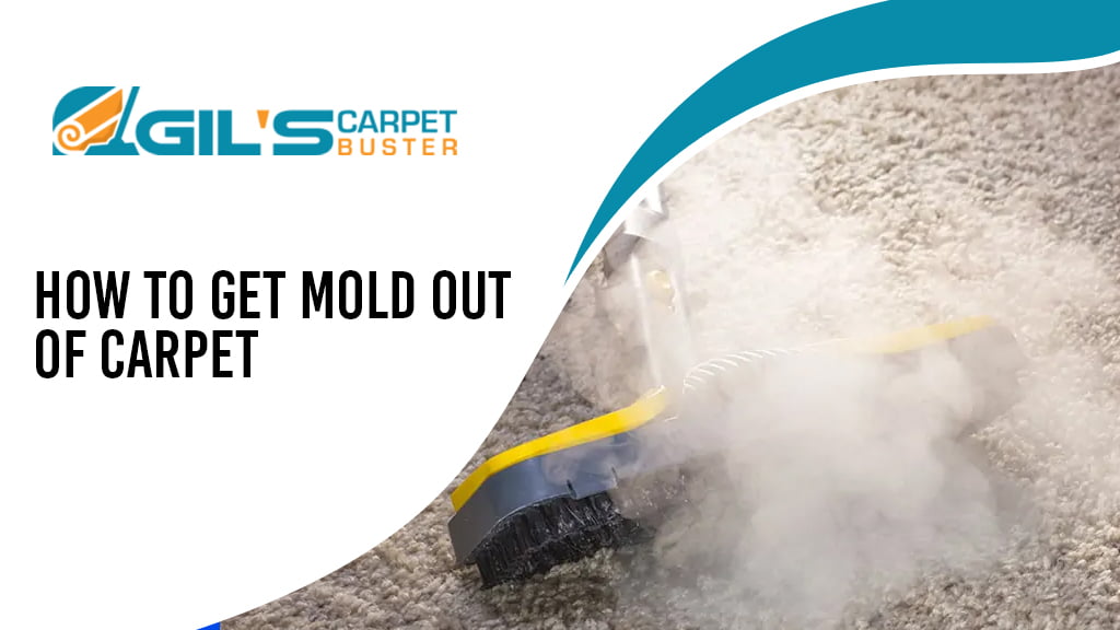 How to Get Mold Out of Carpet A Detailed Guide