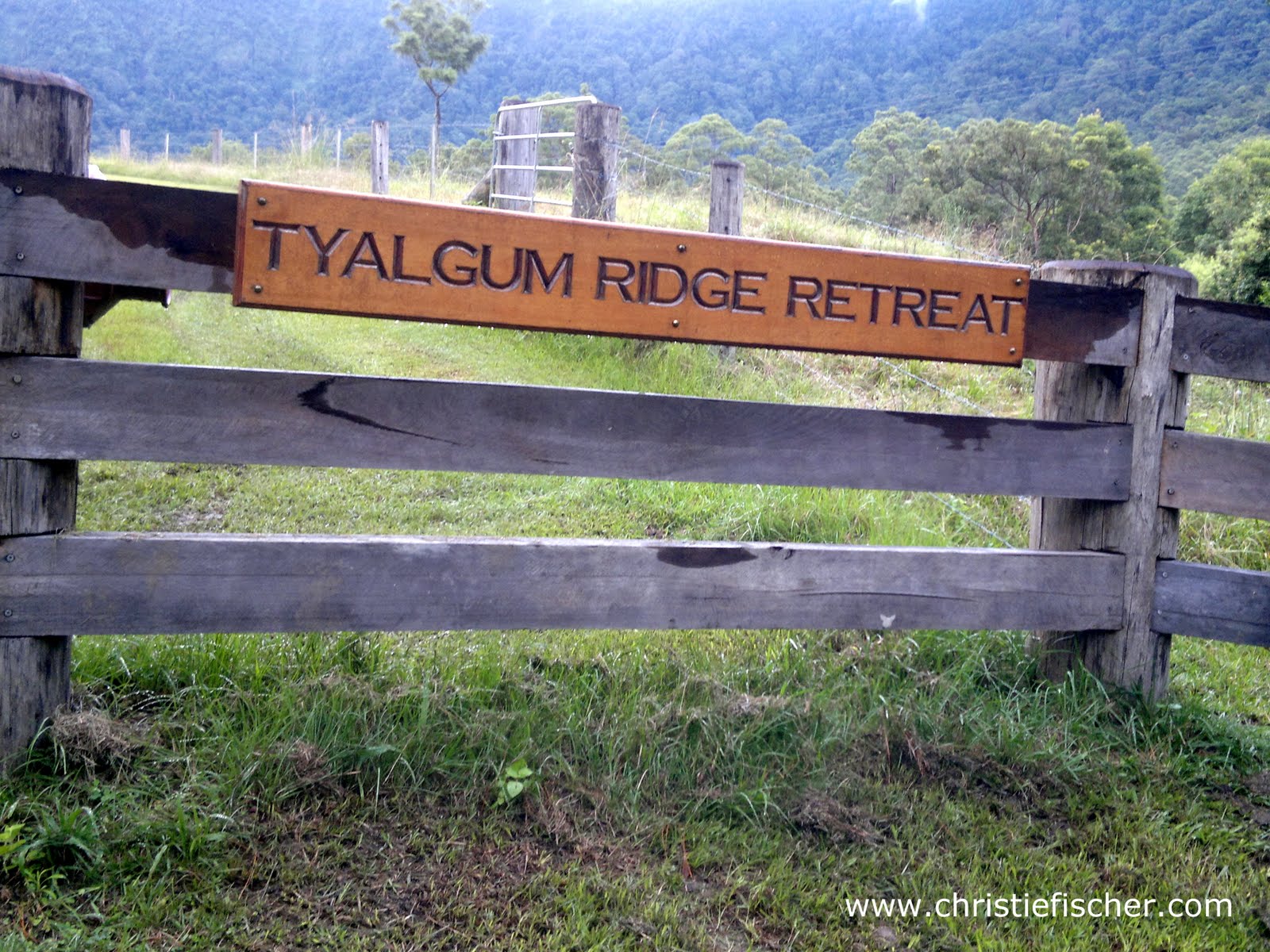 Year 5 Camp Tyalgum Ridge Retreat