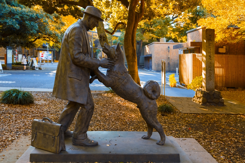 Hachiko The World’s Most Loyal Dog Gimundo The Brighter Side