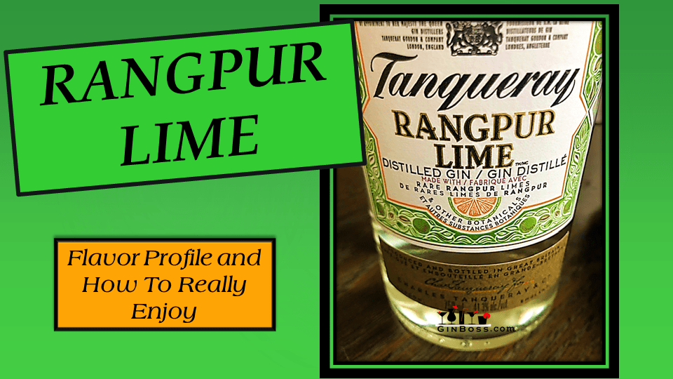 Tanqueray Rangpur Gin Flavor Profile and How to Really Enjoy Gin Reviews