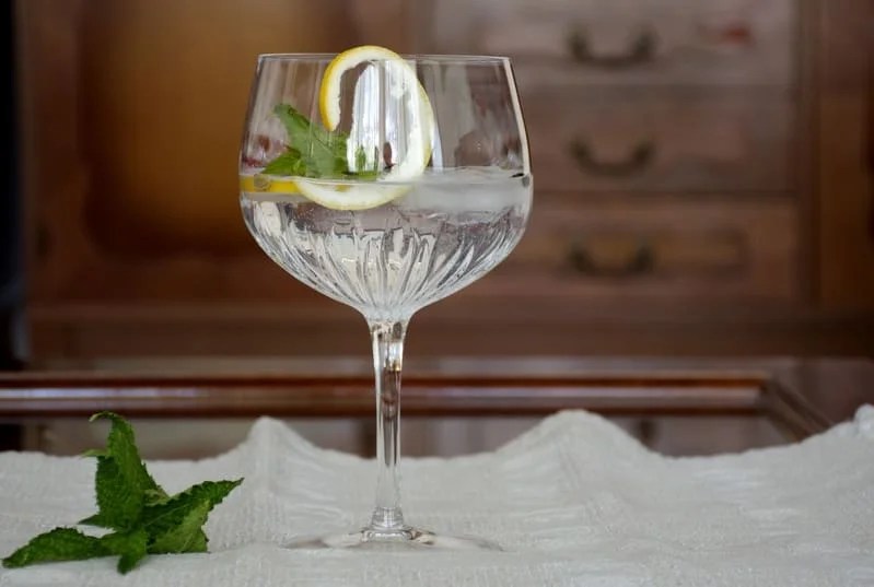 Making the Perfect Gin and Tonic Tips and Tricks Gin Bruni Collin's