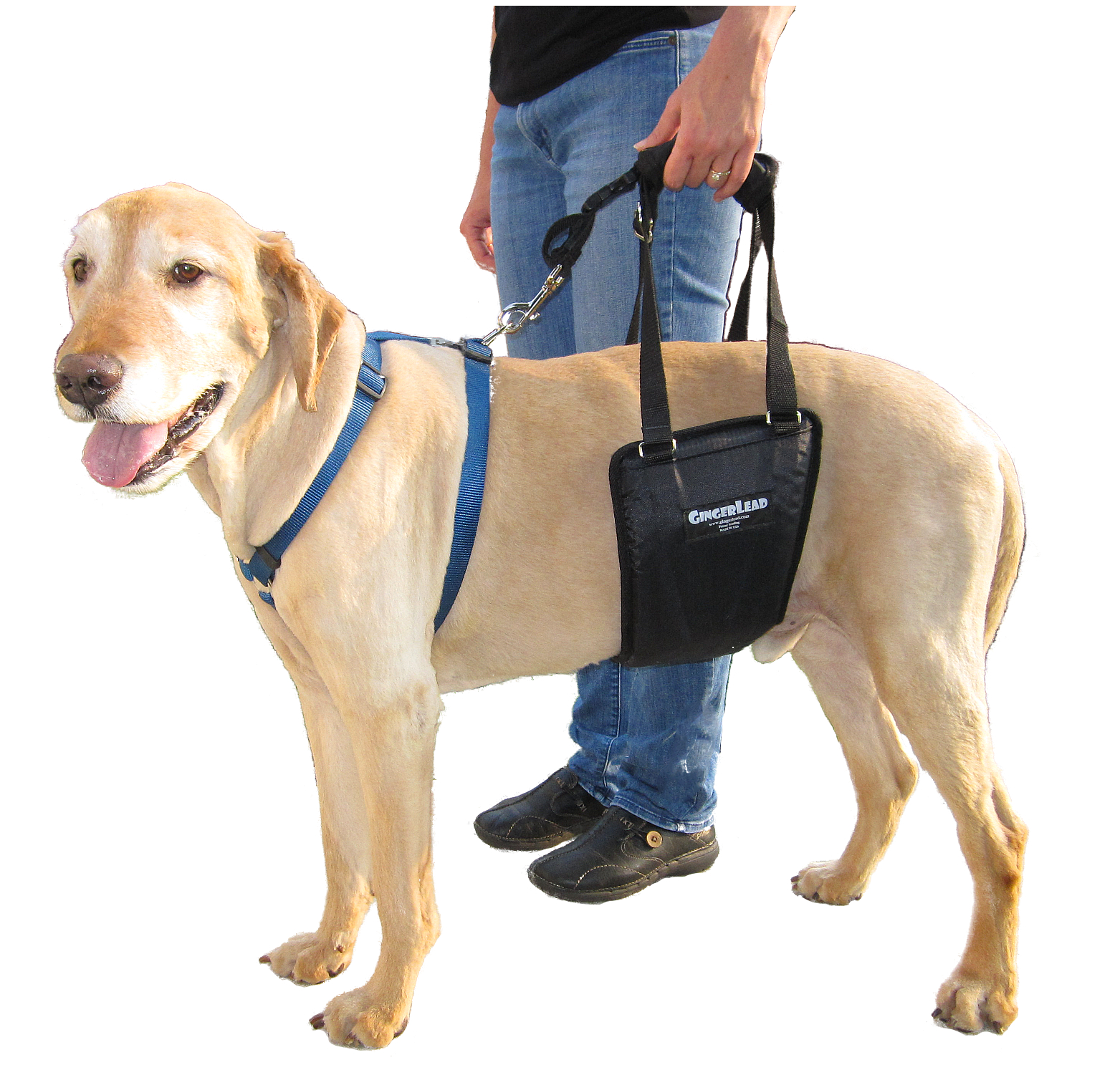 GingerLead Dog Support Sling Harnesses Mobility Aid for Old or