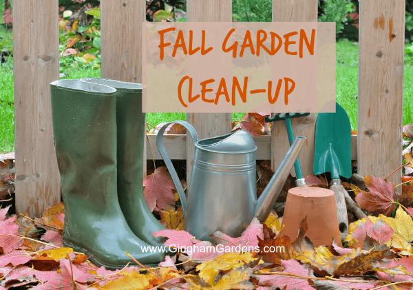 Fall Garden Cleanup