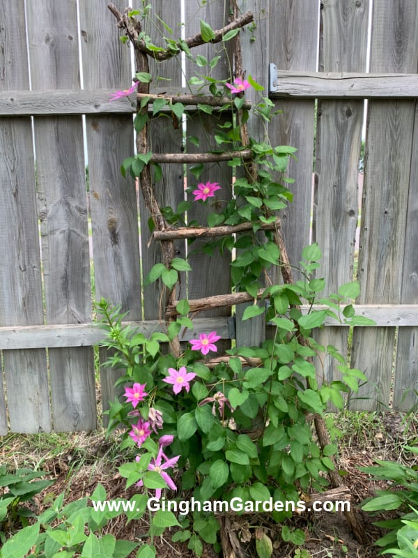 Easy DIY Garden Decor Using Tree Branches Gingham Gardens