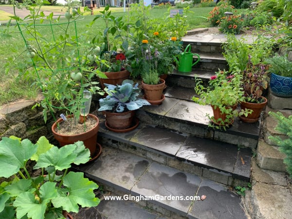 Image of Vegetables in Pots