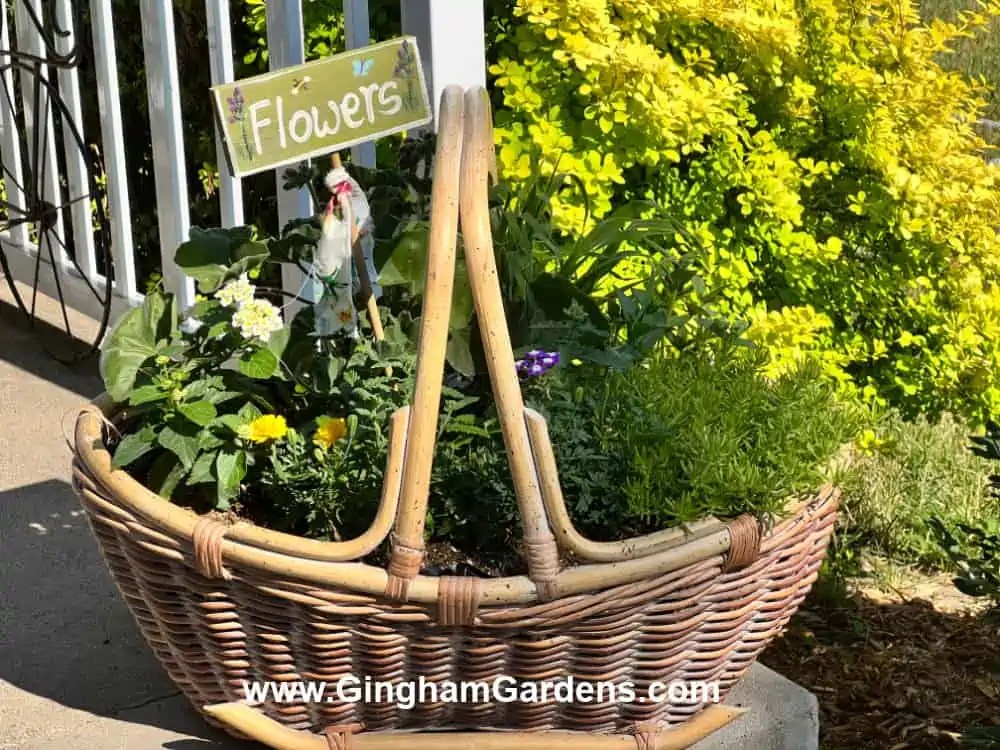 DIY Outdoor Wicker Basket Planters Gingham Gardens