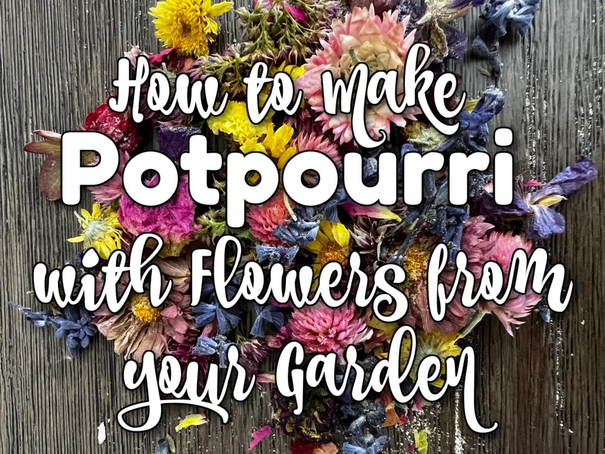 How to Make Potpourri Using Flowers From Your Garden Gingham Gardens