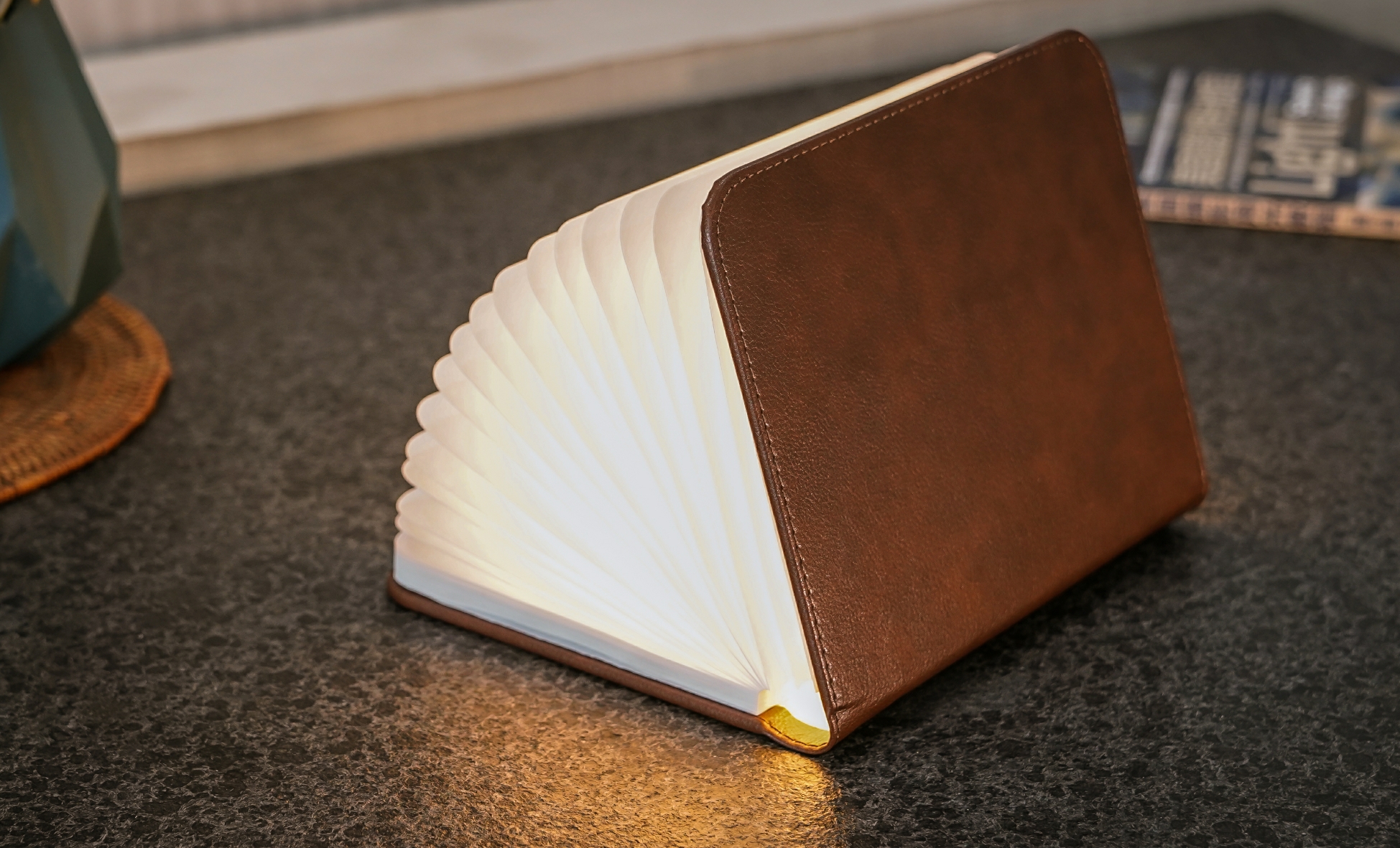 Gingko » Smart Book Light (Fibre Leather)