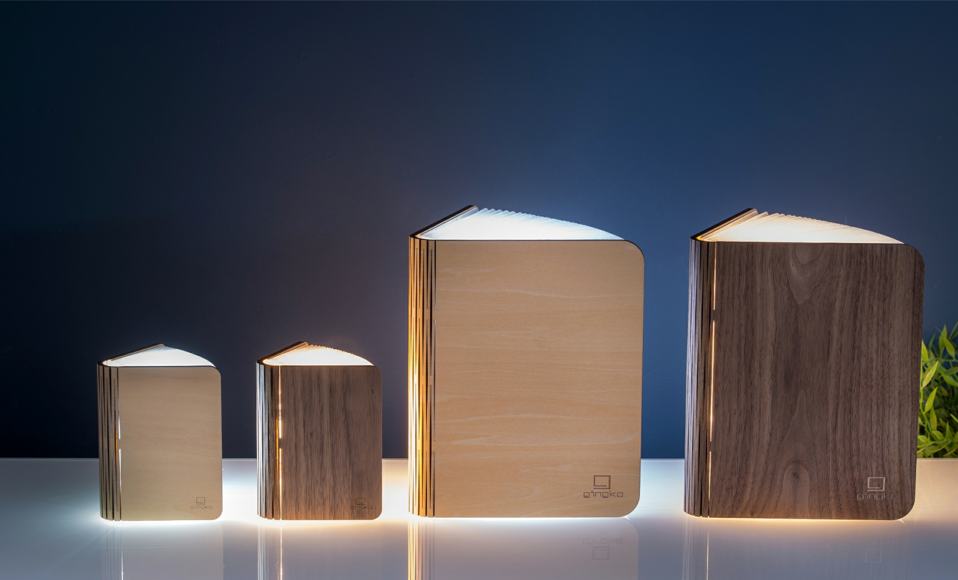 Gingko » Smart Book Light (Natural Wood)