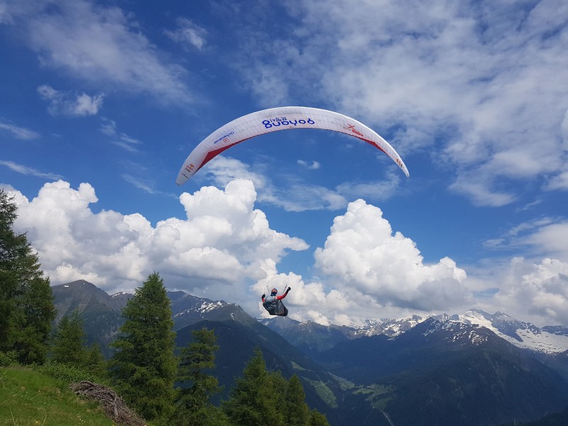 Puma GinGliders Polska