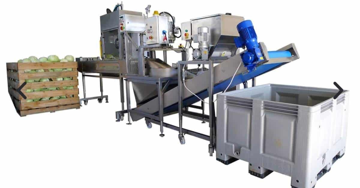 Top 3 Largest Vegetable Processing Equipment Ginhong