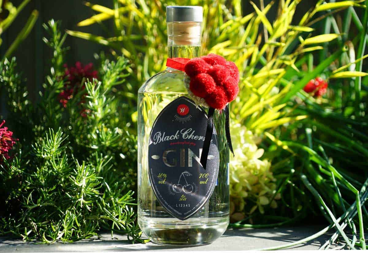 Testbericht Black Cherry Gin Ginnatic Deutschlands größter GinBlog