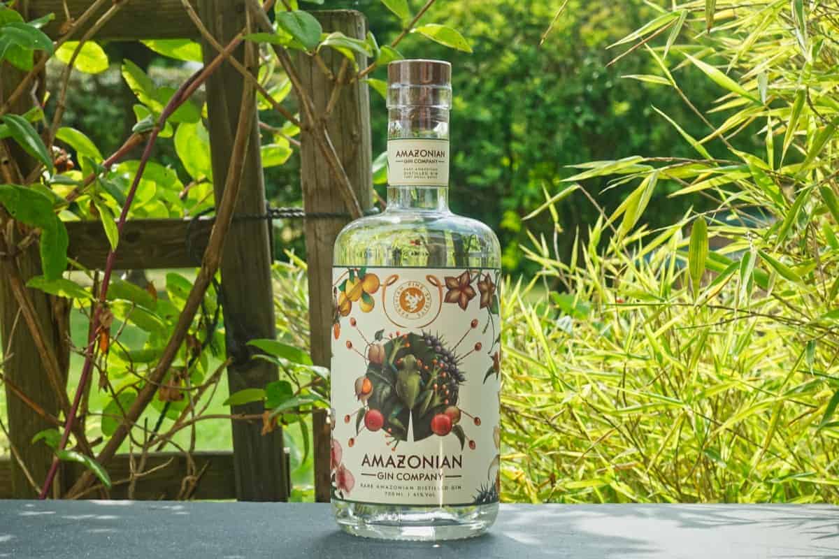 Testbericht Amazonian Gin Ginnatic Deutschlands größter GinBlog