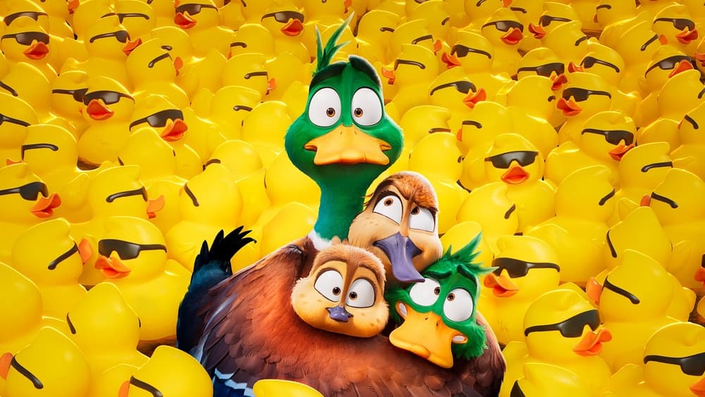 მიგრაცია / Migration (Migracia Qartulad) ქართულად » ფილმები ქართულად