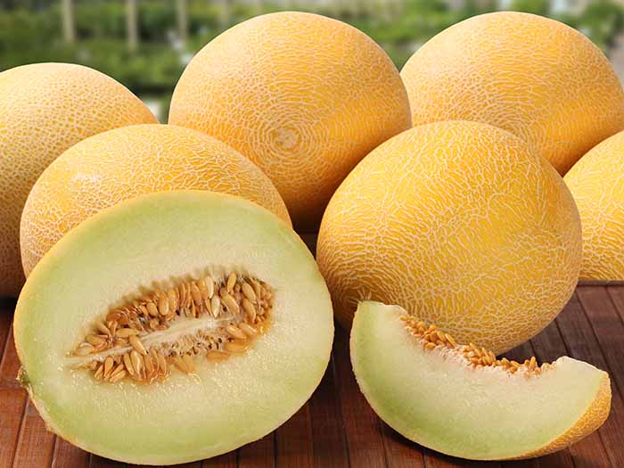 Principales Beneficios E Información Nutricional Del Melón Dulce