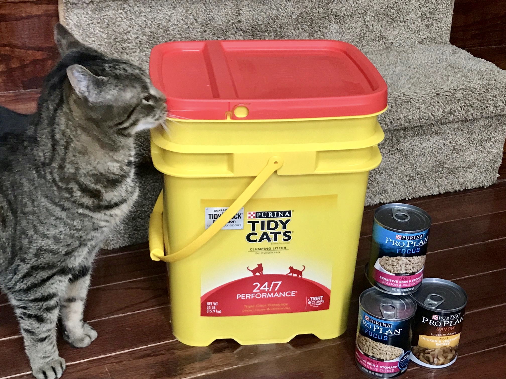 Tractor Supply Cat Litter Sale