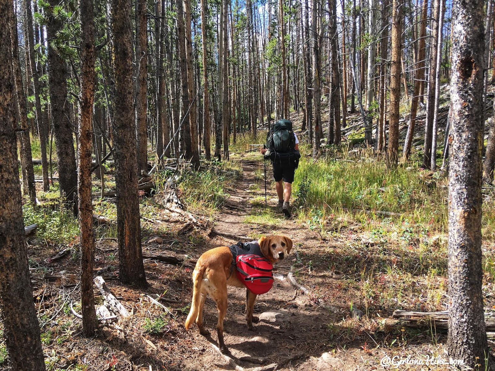 Backpacking to Gilbert Lake & Peak, Uintas Girl on a Hike