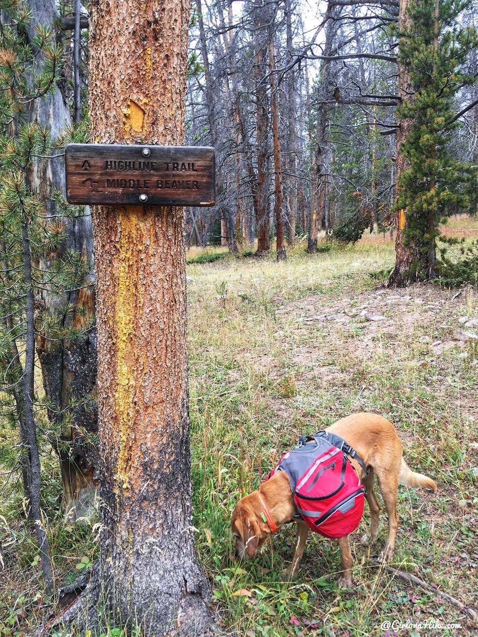 Backpacking to Gilbert Lake & Peak, Uintas Girl on a Hike