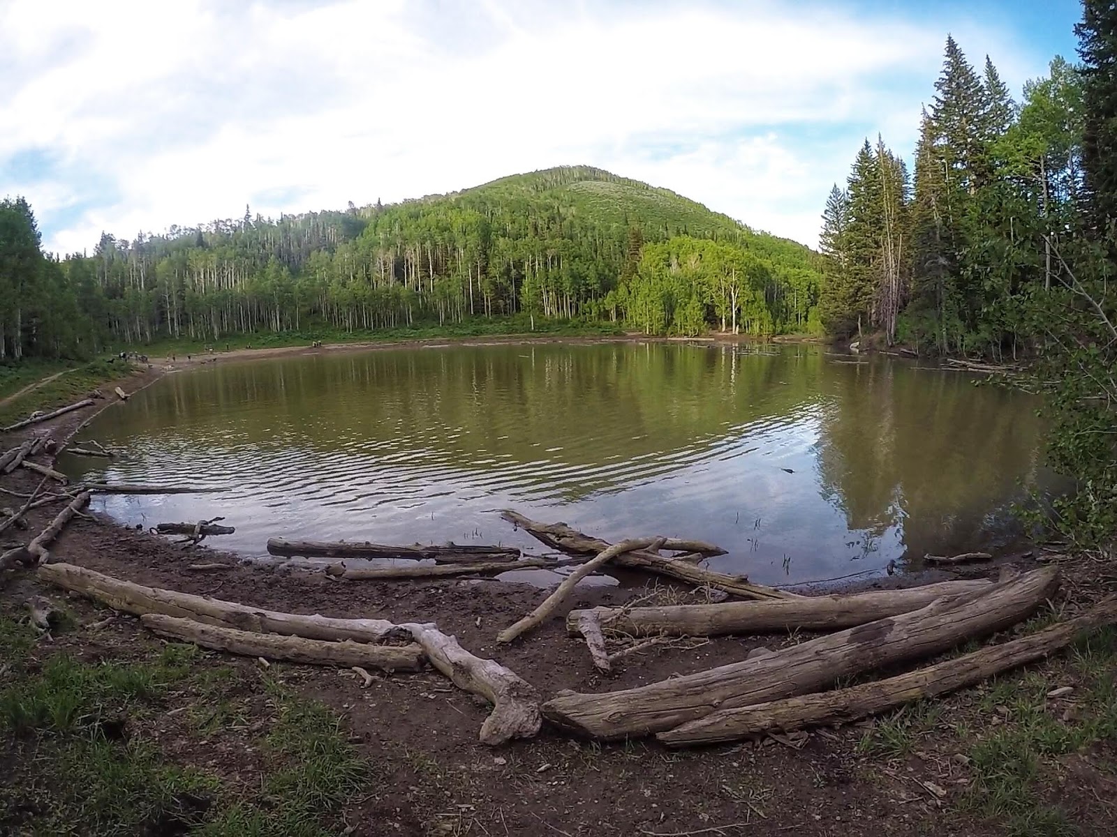 What Lakes In Utah Allow Dogs