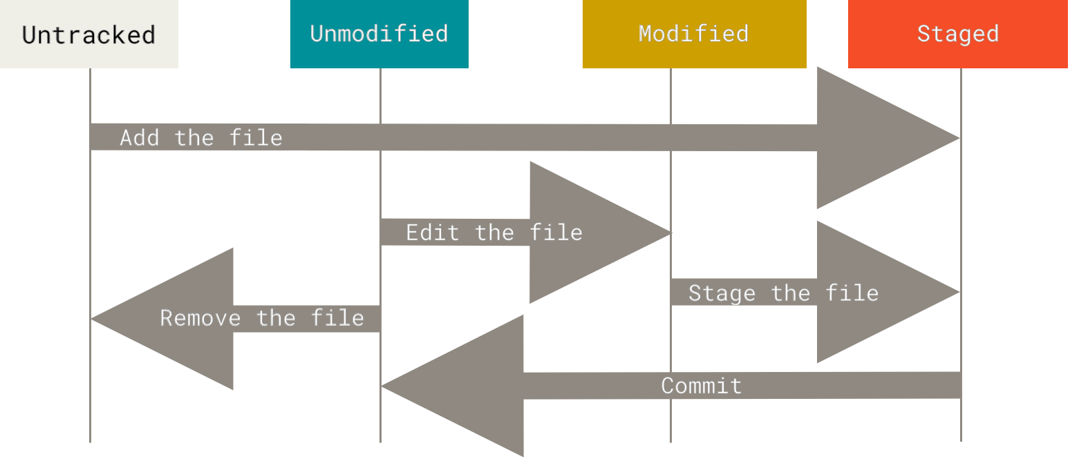 Git Recording Changes to the Repository