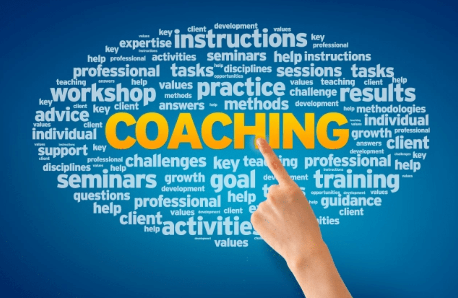 ¡Pon un coach en tu vida! Making Sense Gitanjali Wolfermann