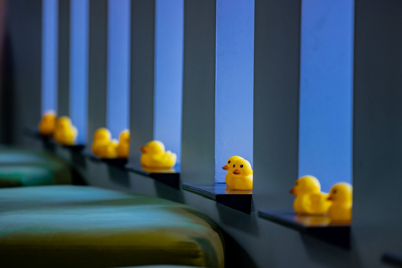 What's with all the ducks? The GitHub Blog