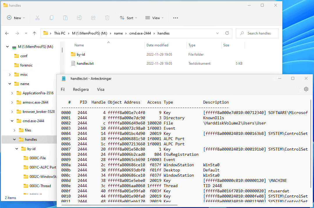 FS_Process_Handles · ufrisk/MemProcFS Wiki · GitHub
