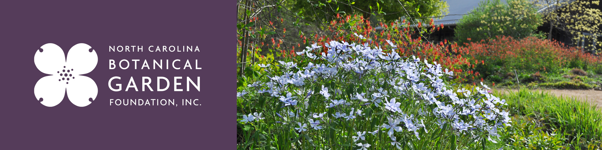 North Carolina Botanical Gardens Membership Giving Page