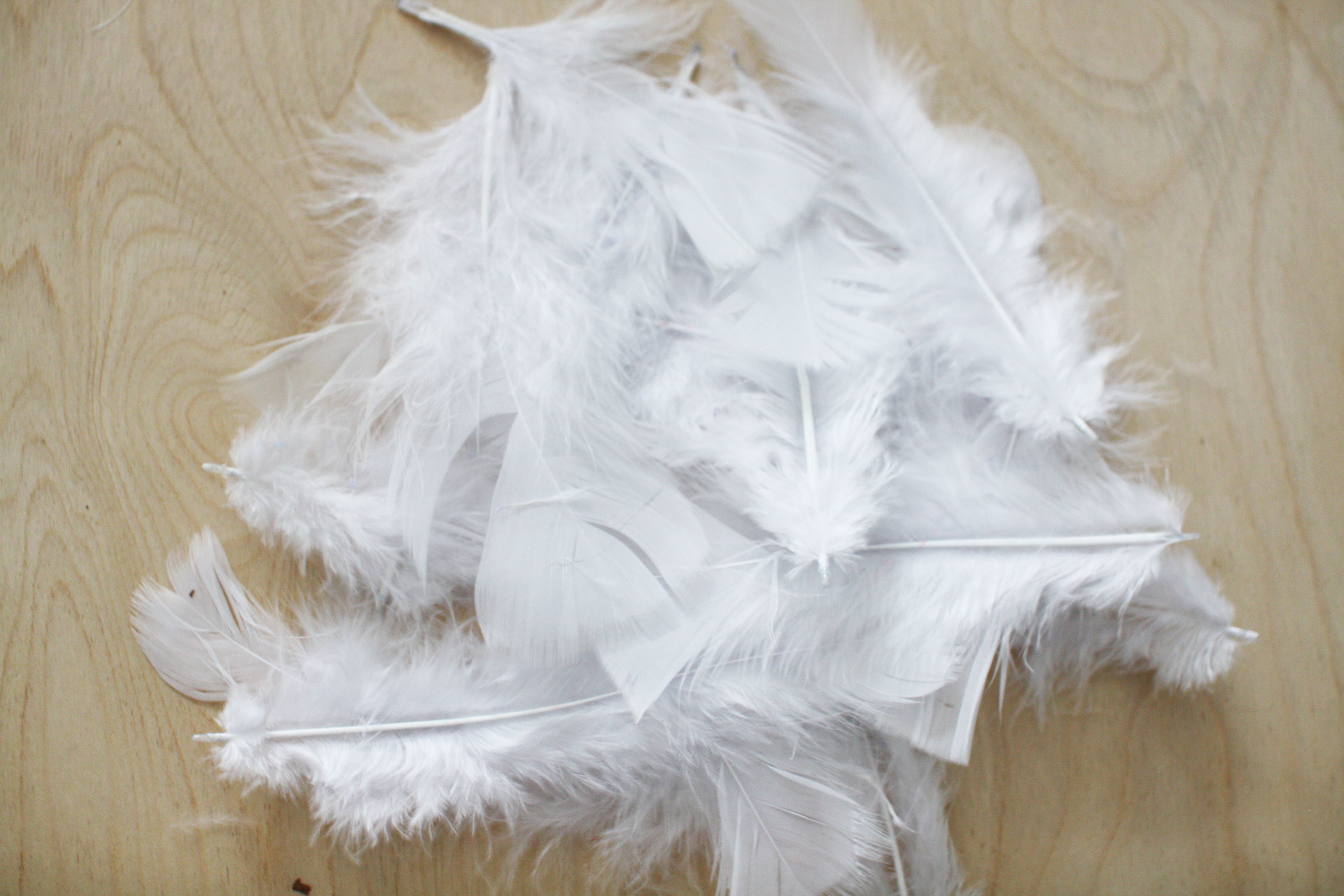 make dip dyed feathers givemakewrap