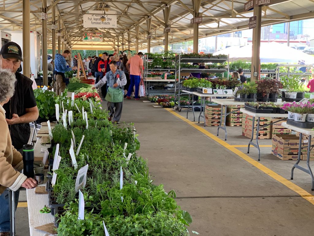 How to navigate the Minneapolis Lyndale Farmers Market » Give Me The Mike