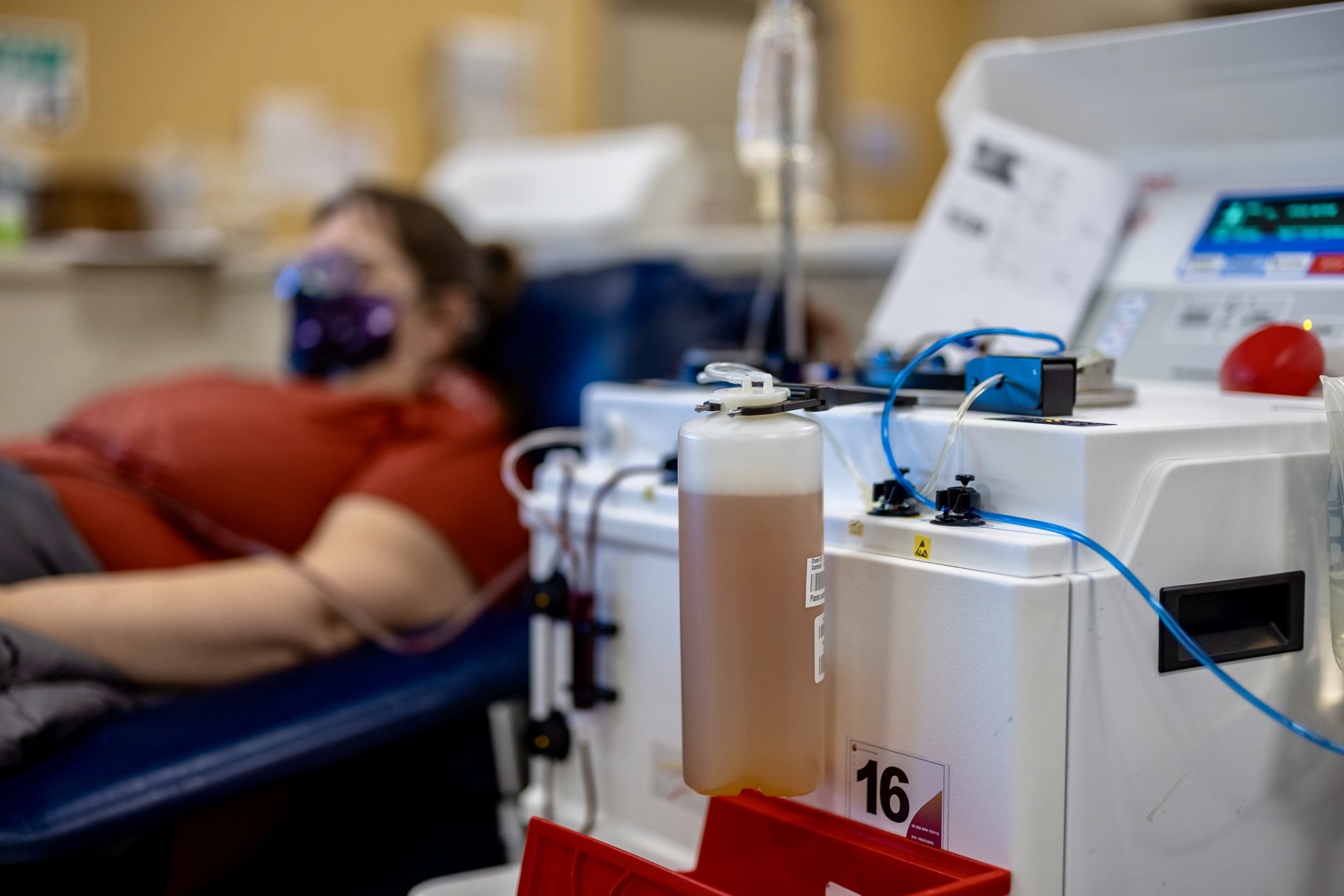 3 Reasons You Should Donate Plasma This Holiday Season Canadian