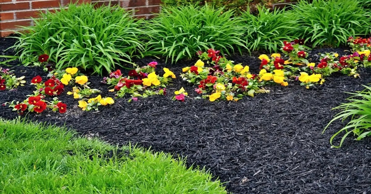 Compost vs Mulch (What's the Difference?) GIY Plants