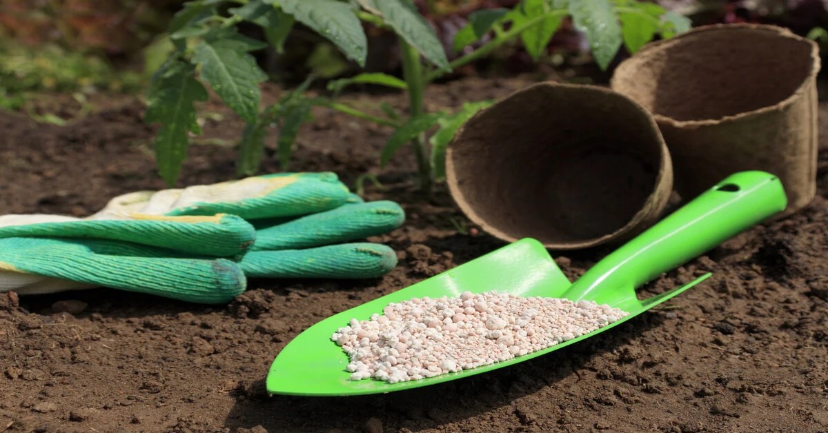How Long Does It Take Granular Fertilizer to Dissolve GIY Plants