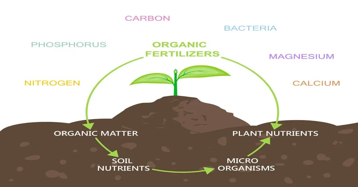 Understanding Plant Nutrients GIY Plants