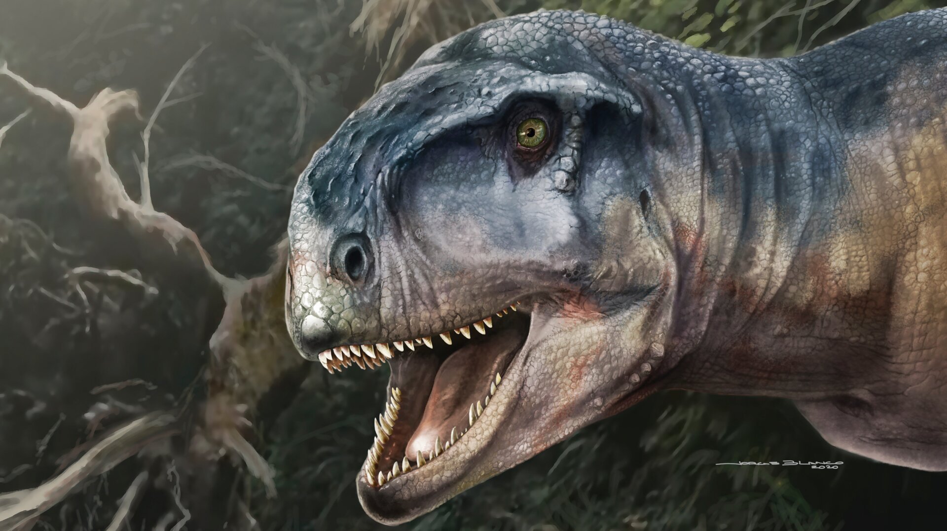 An artist’s depiction of the extinct abelisaur.