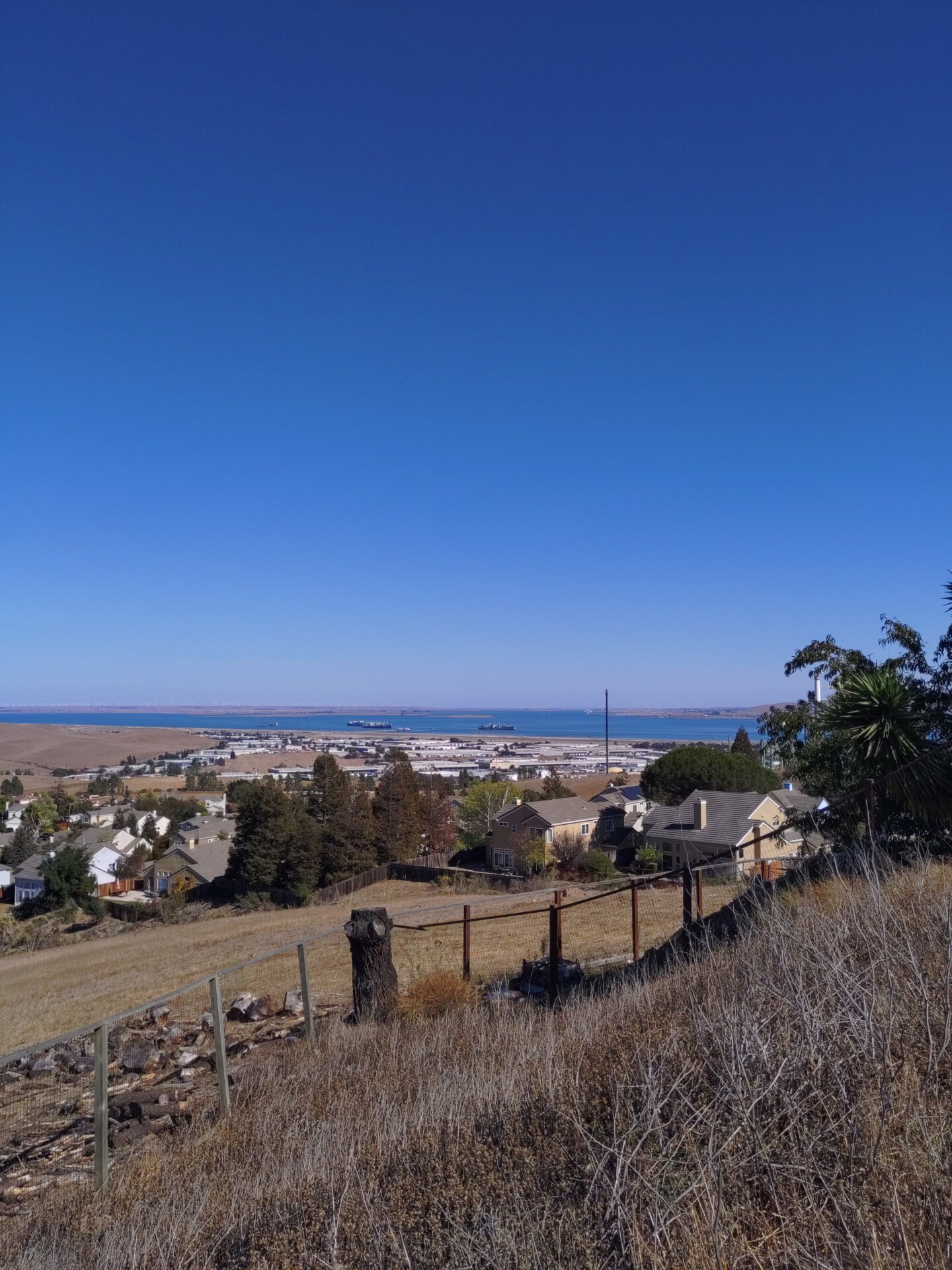 Image: Florence Ion / Gizmodo