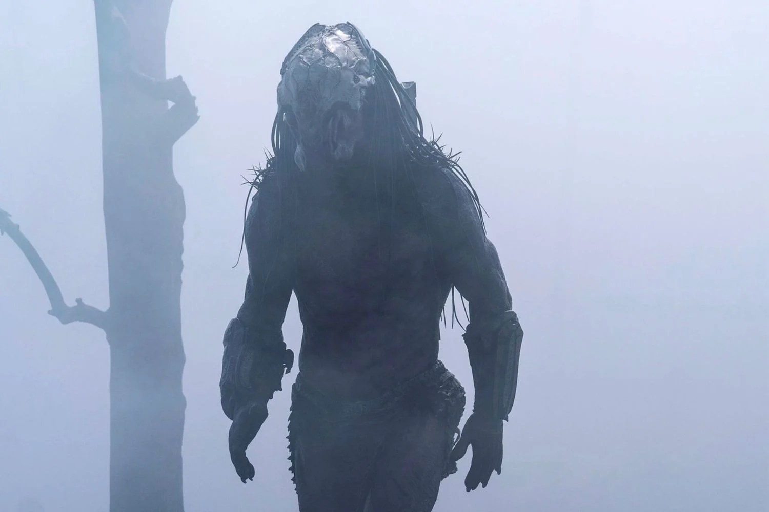 The director of Prey is working on two new Predator projects for next year.