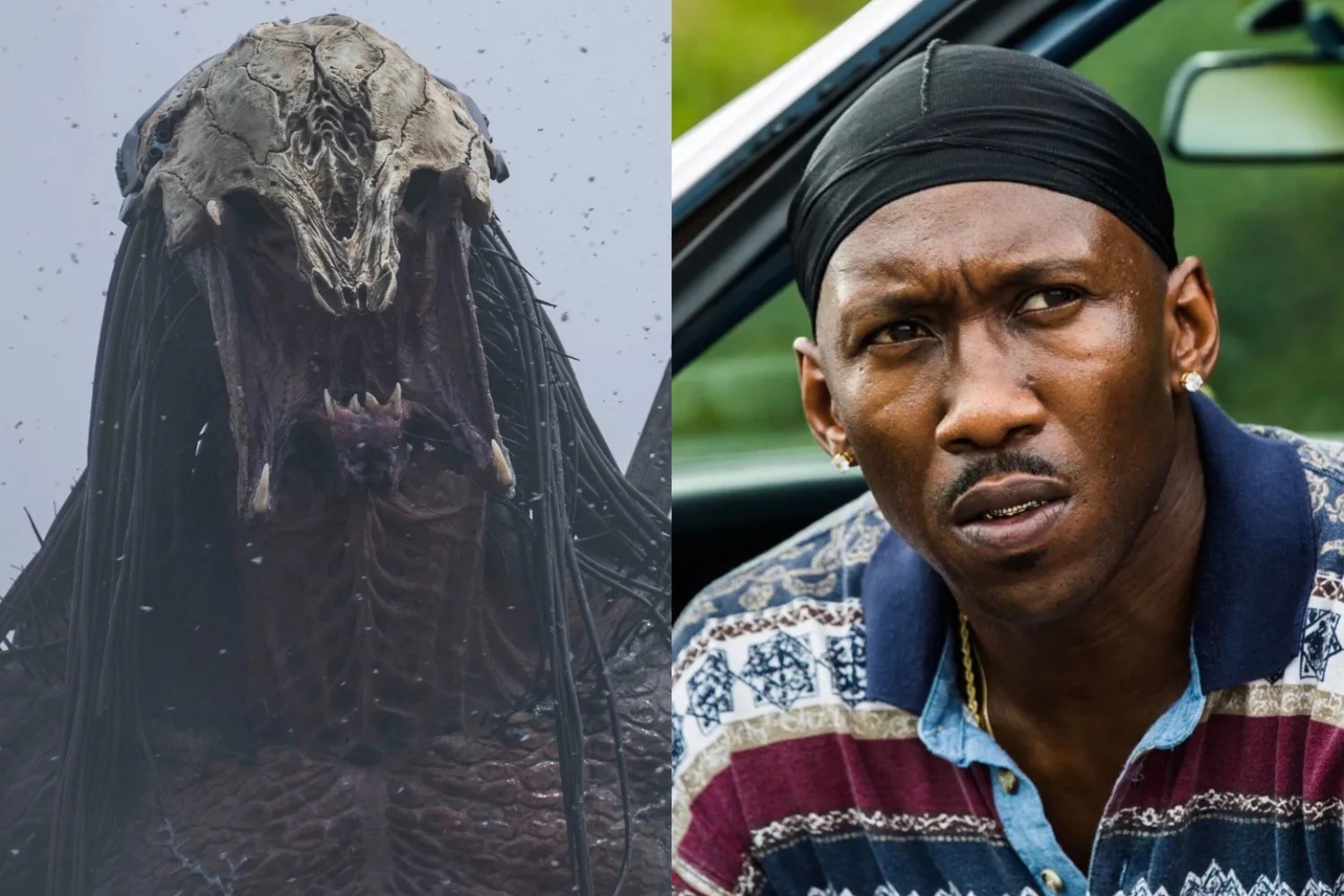 Mahershala Ali&rsquo;s Blade has been replaced by a new Predator movie on Disney&rsquo;s release schedule.