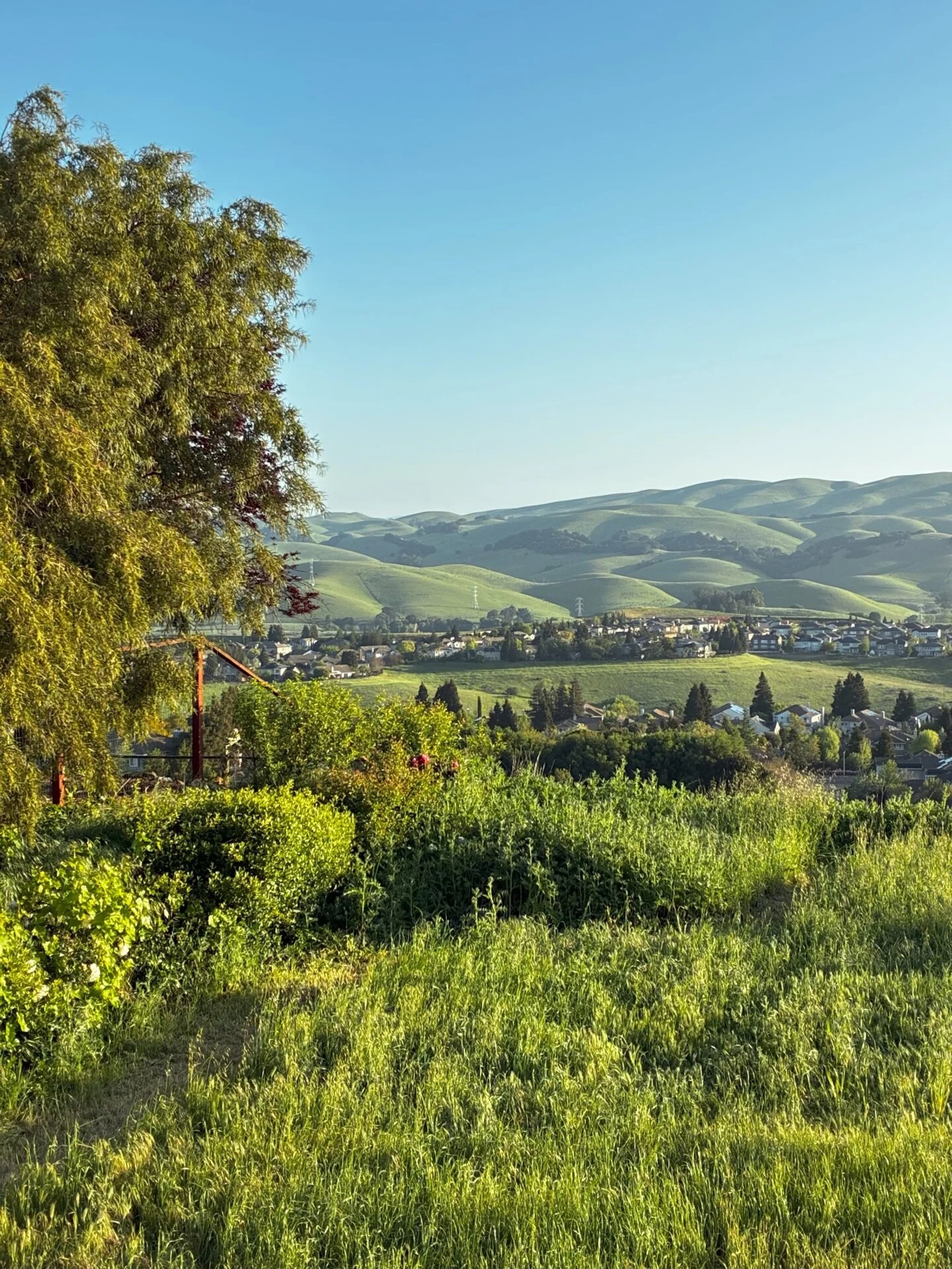 A test photo taken with the iPhone 16e