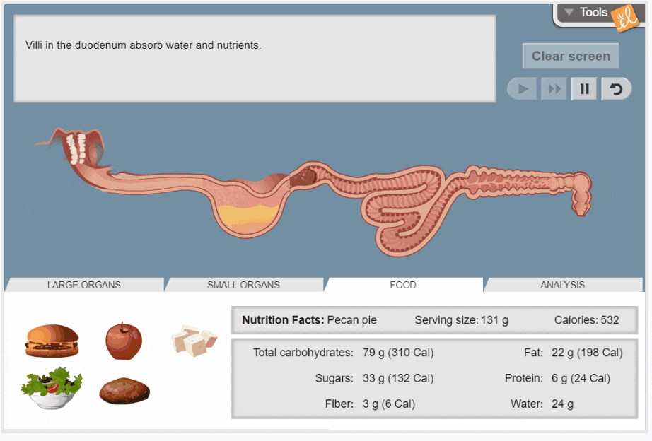 Gizmos help students explore the science of health with online biology