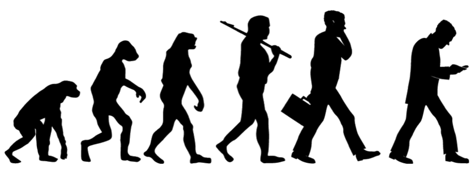 Evolution GJA Science