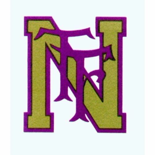 The Gloria J. Taylor Foundation Support Programs Illinois, United