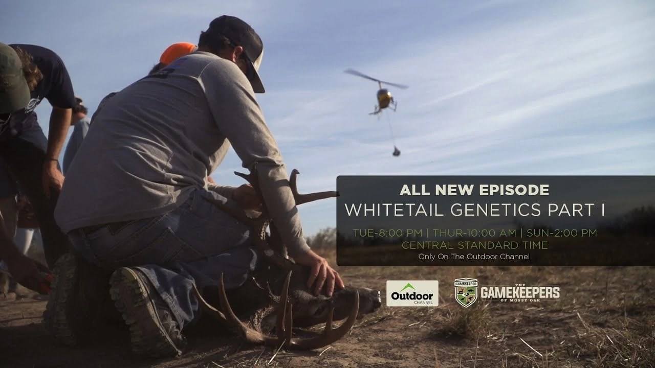 The GameKeepers of Mossy Oak TV Whitetail Part I Mossy Oak