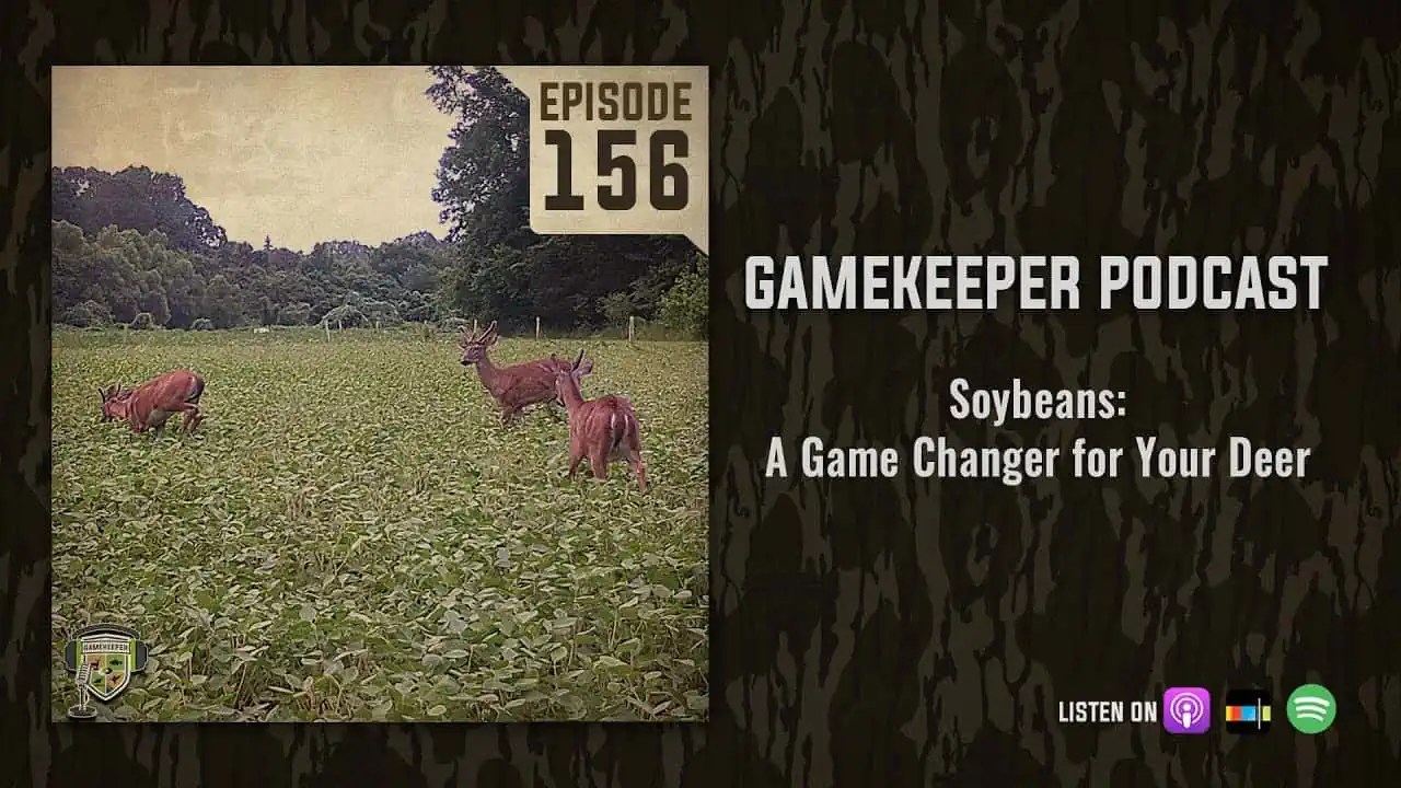 EP156 Soybeans A Game Changer for Your Deer Mossy Oak Gamekeeper