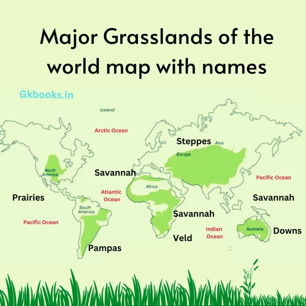 Temperate Grassland Map