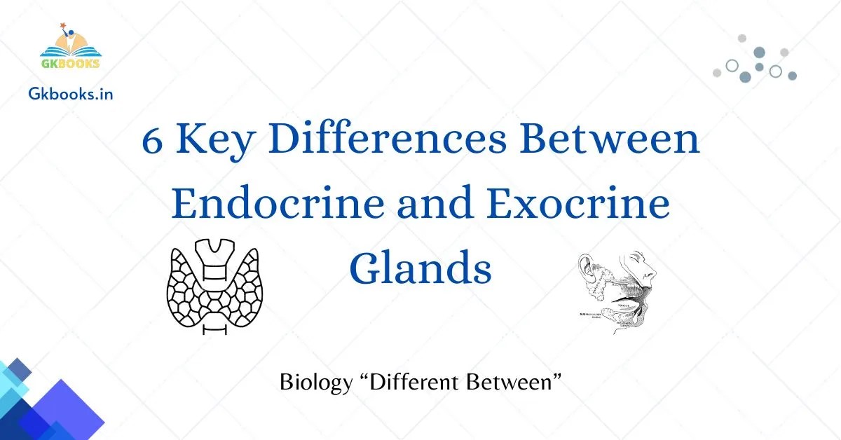 6 Key Differences Between Endocrine And Exocrine Glands