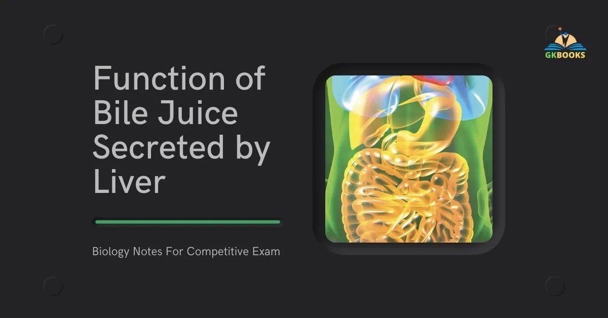 What Is The Function Of Bile Juice Secreted By Liver