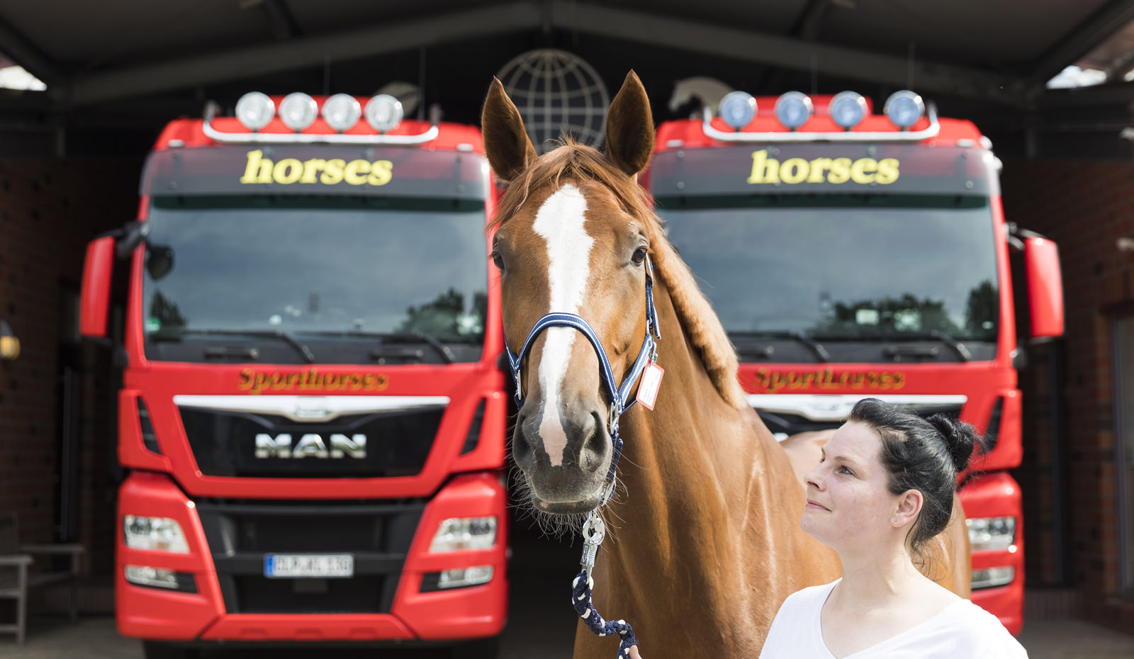 Guido Klatte International Horse Transport