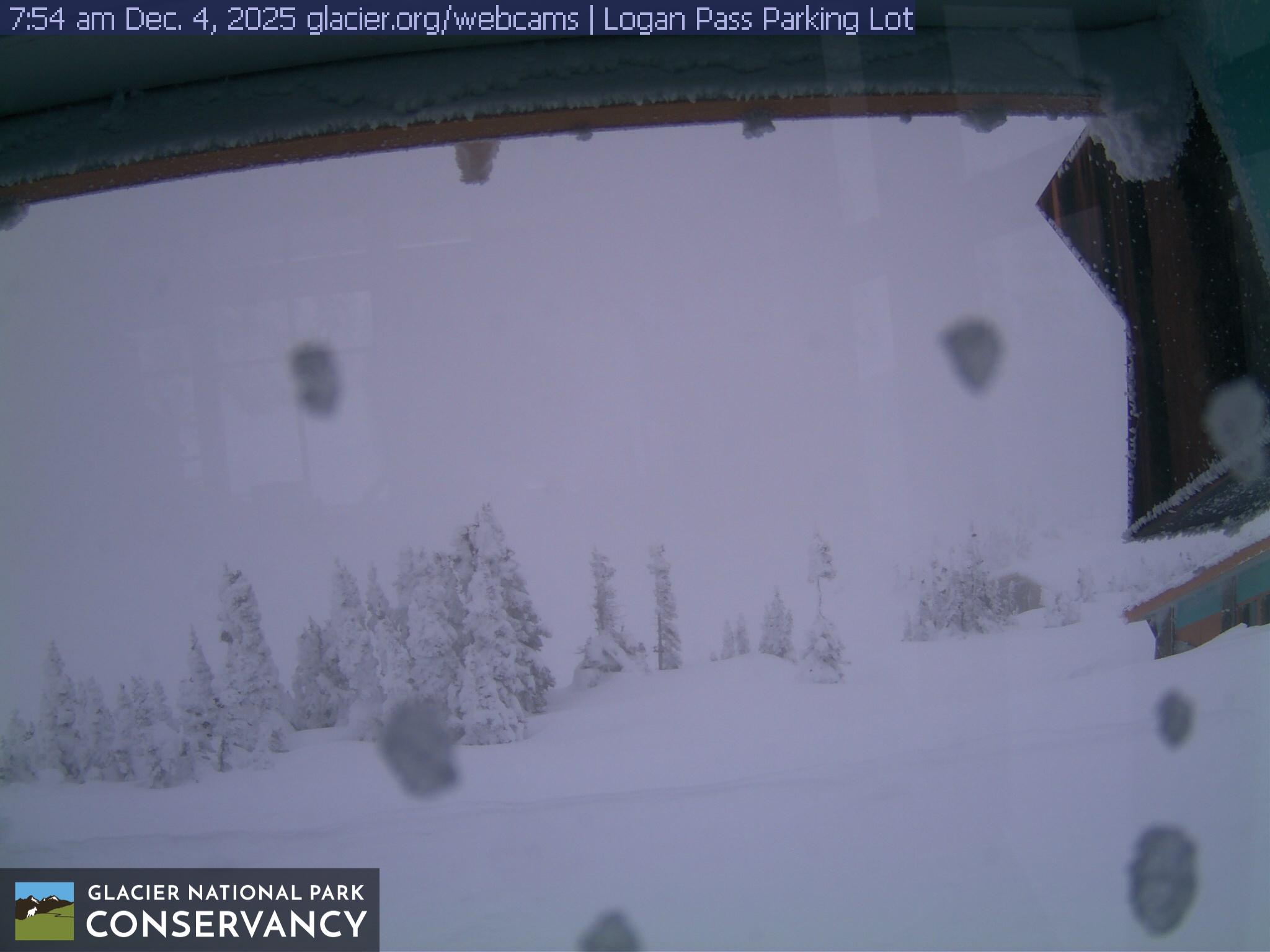 Logan Pass cam Glacier National Park Conservancy
