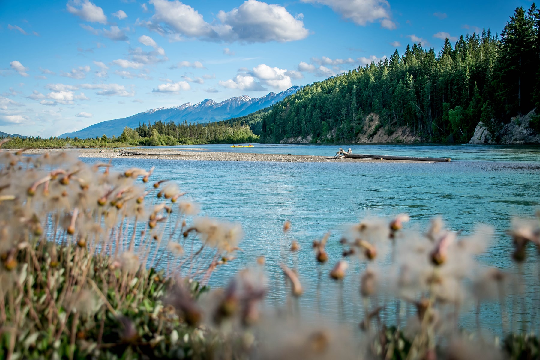 Kayak Rentals in Golden BC Canadian Rockies Kayak Rentals